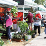 delray-market2