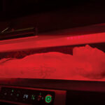 Red-Light-Therapy-1